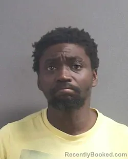 Recent Mugshot Image for MARK ANTHONY FISH in Volusia County, Florida