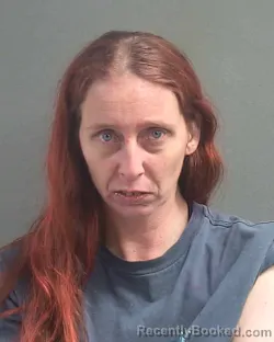 Recent Mugshot Image for MELISSA R LIONETTI in Volusia County, Florida