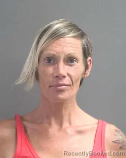 Recent Mugshot Image for HEATHER NICHOLE ROBISON in Volusia County, Florida