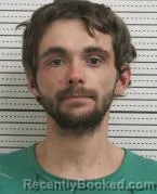 Recent Mugshot Image for JOSHUA L CURTIS in Ross County, Ohio