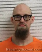 Recent Mugshot Image for HANS C ANDERSON in Ross County, Ohio