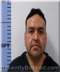 Recent Mugshot Image for Felipe Molotla-Martinez in Seneca County, Ohio