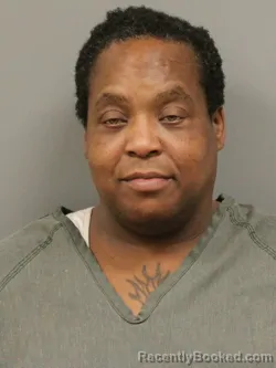 Recent Mugshot Image for ELIZA MARIE NAPIER in Shelby County, Ohio