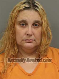 Recent Mugshot Image for HEATHER ANN LLOYD in Shelby County, Ohio