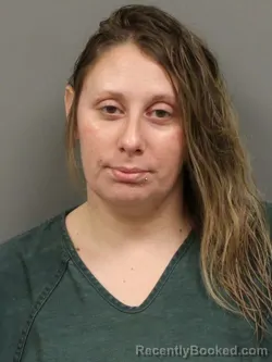 Recent Mugshot Image for JESSICA LOUISE MULLINS in Shelby County, Ohio
