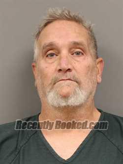 Recent Mugshot Image for RICKIE LYNN DAVIS in Shelby County, Ohio