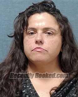 Recent Mugshot Image for FORTINA SHAVON NABOZNY in Stark County, Ohio