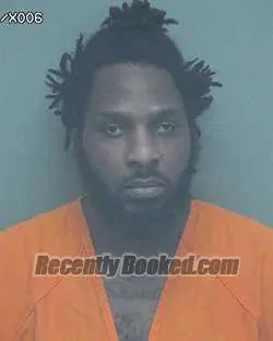 Recent Mugshot Image for JAMERIA DEMTREA BARRON in Wakulla County, Florida
