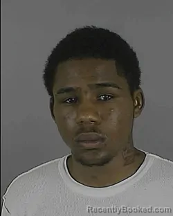 Recent Mugshot Image for ELLE ELLINGTON ANTOINE in Summit County, Ohio