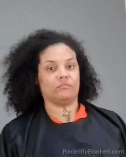 Recent Mugshot Image for MIONNA SHAENELL MURRAY in Summit County, Ohio