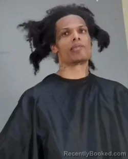 Recent Mugshot Image for LONDON GEORFEL WILLIAMS in Summit County, Ohio