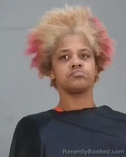 Recent Mugshot Image for ASHLEY MARIE SILVA in Summit County, Ohio