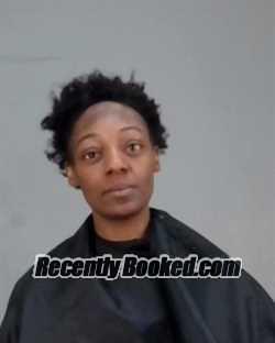 Recent Mugshot Image for BREANA NICOLE PARHAM in Summit County, Ohio