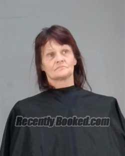 Recent Mugshot Image for JULIA ANN WALKER in Summit County, Ohio