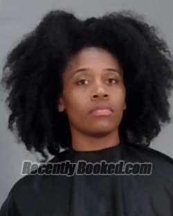 Recent Mugshot Image for ASHLEIGH SELENA BROOKS in Summit County, Ohio