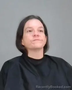 Recent Mugshot Image for MEGANN CHRISTINE POTTER in Summit County, Ohio