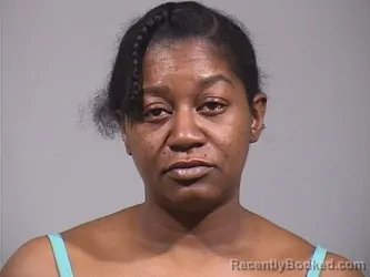 Recent Mugshot Image for DEMARIEST JANELL BAKER in Trumbull County, Ohio