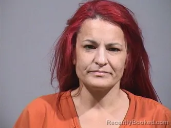 Recent Mugshot Image for AMANDA RAE SWANTEK in Trumbull County, Ohio