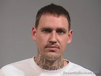 Recent Mugshot Image for STEVEN KYLE WILLIAMS in Trumbull County, Ohio