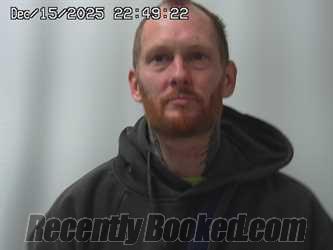 Recent Mugshot Image for MICHAEL MCPHERSON in Union County, Ohio