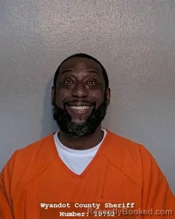 Recent Mugshot Image for MICHAEL DAVID MCGILL in Wyandot County, Ohio