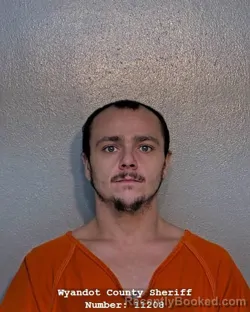 Recent Mugshot Image for JESSE JAMES MCCLURE in Wyandot County, Ohio