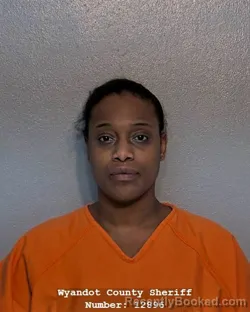 Recent Mugshot Image for JORDAN CHIAN LONG in Wyandot County, Ohio