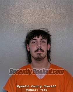 Recent Mugshot Image for ALEXANDER SCOTT DELONG in Wyandot County, Ohio