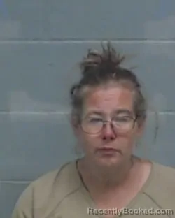 Recent Mugshot Image for MICHELLE LONG DICKERSON in Washington County, Florida