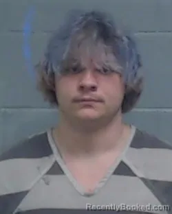 Recent Mugshot Image for MEIKO CANNON AMERSON in Washington County, Florida