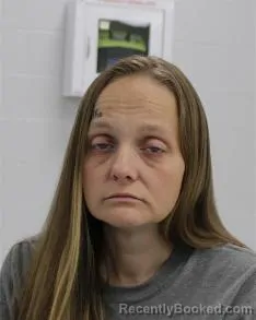 Recent Mugshot Image for HELEN FLORENCE LILLEY in Fayette County, Pennsylvania