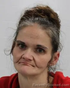 Recent Mugshot Image for REBECCA ANN WALLACE in Fayette County, Pennsylvania
