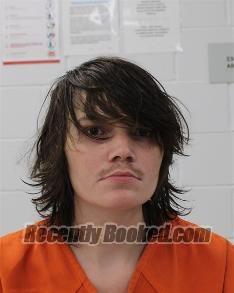 Recent Mugshot Image for BRANDON HALL in Fayette County, Pennsylvania