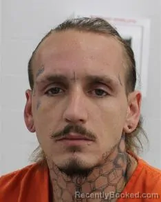 Recent Mugshot Image for CHRISTOPHER S PERDUE in Fayette County, Pennsylvania