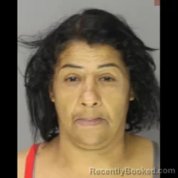 Recent Mugshot Image for IVONNE DELAROSA in Lebanon County, Pennsylvania