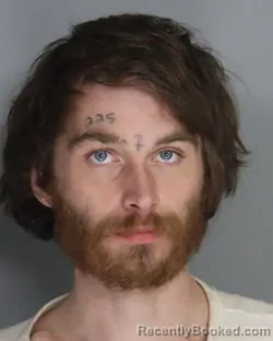 Recent Mugshot Image for KOLBE DUPLESSIS in Aiken County, South Carolina