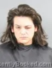 Recent Mugshot Image for GEORGINA PAIGE MCGUFFIN in Anderson County, South Carolina