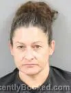 Recent Mugshot Image for JESSICA ROBYN RICHEY in Anderson County, South Carolina