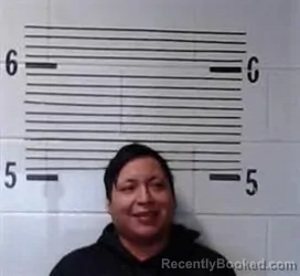 Recent Mugshot Image for R LOPEZ-RAMIREZ in Elmore County, Alabama
