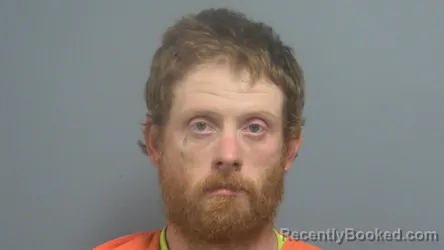 Recent Mugshot Image for JACKSON DAKOTA FILES in Fayette County, Alabama