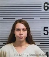 Recent Mugshot Image for SHANNA HICKS in Jackson County, Alabama