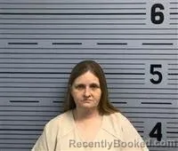 Recent Mugshot Image for JENNIFER FERGUSON in Jackson County, Alabama