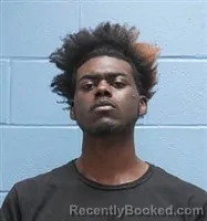 Recent Mugshot Image for DONARD TERRON STALLWORTH in Lee County, Alabama