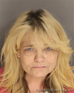 Recent Mugshot Image for Nancy Ann Altman in Berkeley County, South Carolina