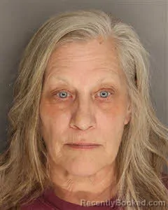 Recent Mugshot Image for Elizabeth Mary Brodersen in Berkeley County, South Carolina