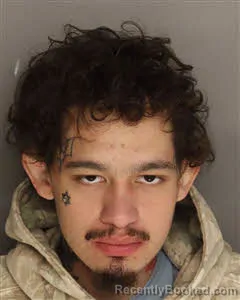 Recent Mugshot Image for Shane Zachary Wayne Driggers in Berkeley County, South Carolina