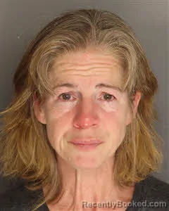 Recent Mugshot Image for Carla Charlene Johnson in Berkeley County, South Carolina