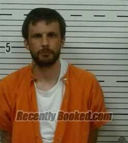 Recent Mugshot Image for WILLIAMS SIMMON in Lowndes County, Alabama