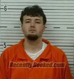 Recent Mugshot Image for DALTON LANIER in Lowndes County, Alabama