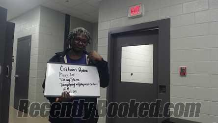 Recent Mugshot Image for ANDREA COLBURN in Marion County, Alabama